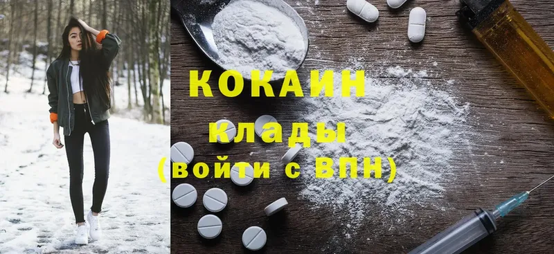 Кокаин FishScale  где можно купить   Злынка 