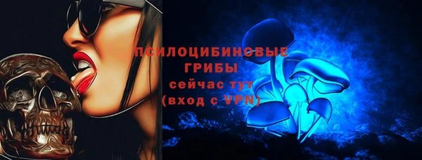 гидропоника Нягань