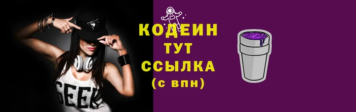 СК Няндома