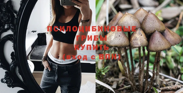 mdpv Болохово