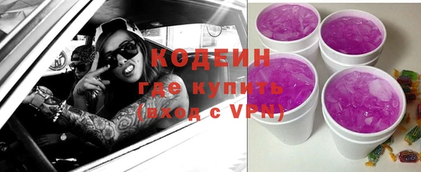 СК Няндома