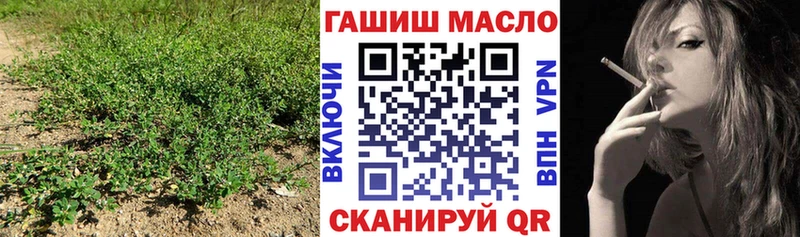 Дистиллят ТГК концентрат Злынка