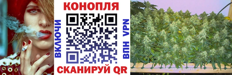 Марихуана AK-47  продажа наркотиков  Злынка 